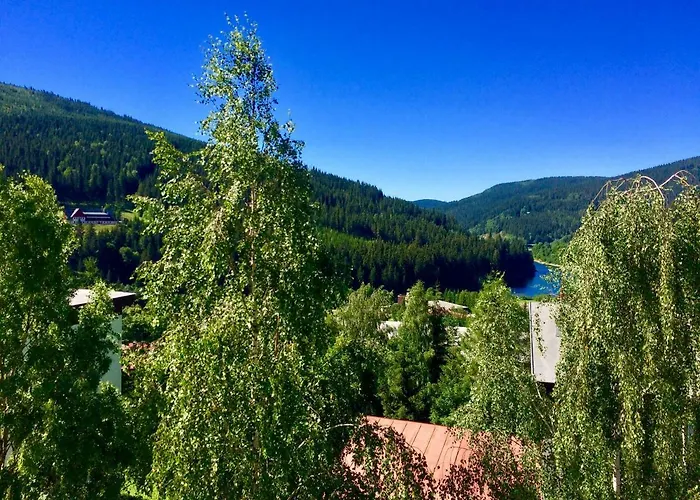 Apartament Elis Szpindlerowy Młyn